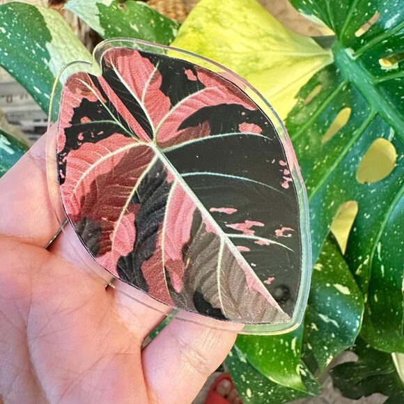 Set of 9 Handmade Anthurium Leaf Resin Fridge Magnets, Tropical Plant Decor - Picture 3 of 10